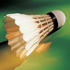 badminton lille